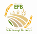 EFB GIDA